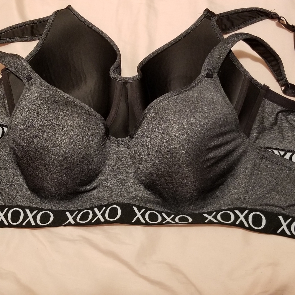 2 bras 36D